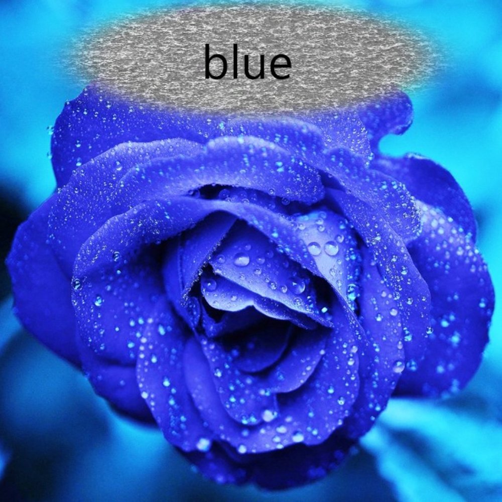 BLUE